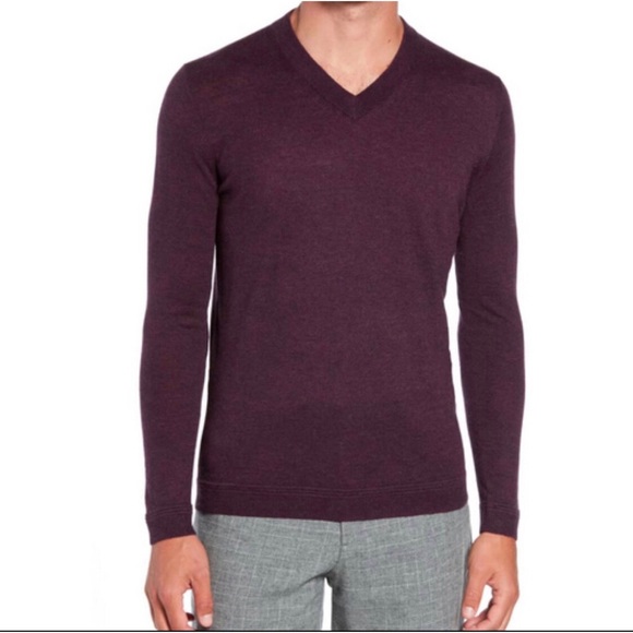 Ted Baker London Other - Ted Baker London Purple Merlot V-Neck Noel Sweater